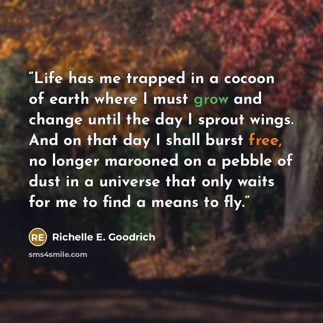 “Life has me trapped in a cocoon of earth where I must grow and change until the day I sprout wings. And on that day I shall burst free, no longer marooned on a pebble of dust in a universe that only waits for me to find a means to fly.” quote by Richelle E. Goodrich