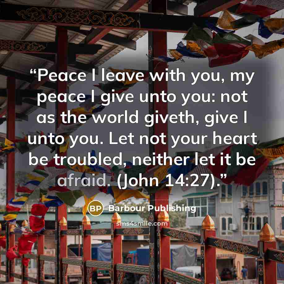 “Peace I leave with you, my peace I give unto you: not as the world giveth, give I unto you. Let not your heart be troubled, neither let it be afraid. (John 14:27).” quote by Barbour Publishing