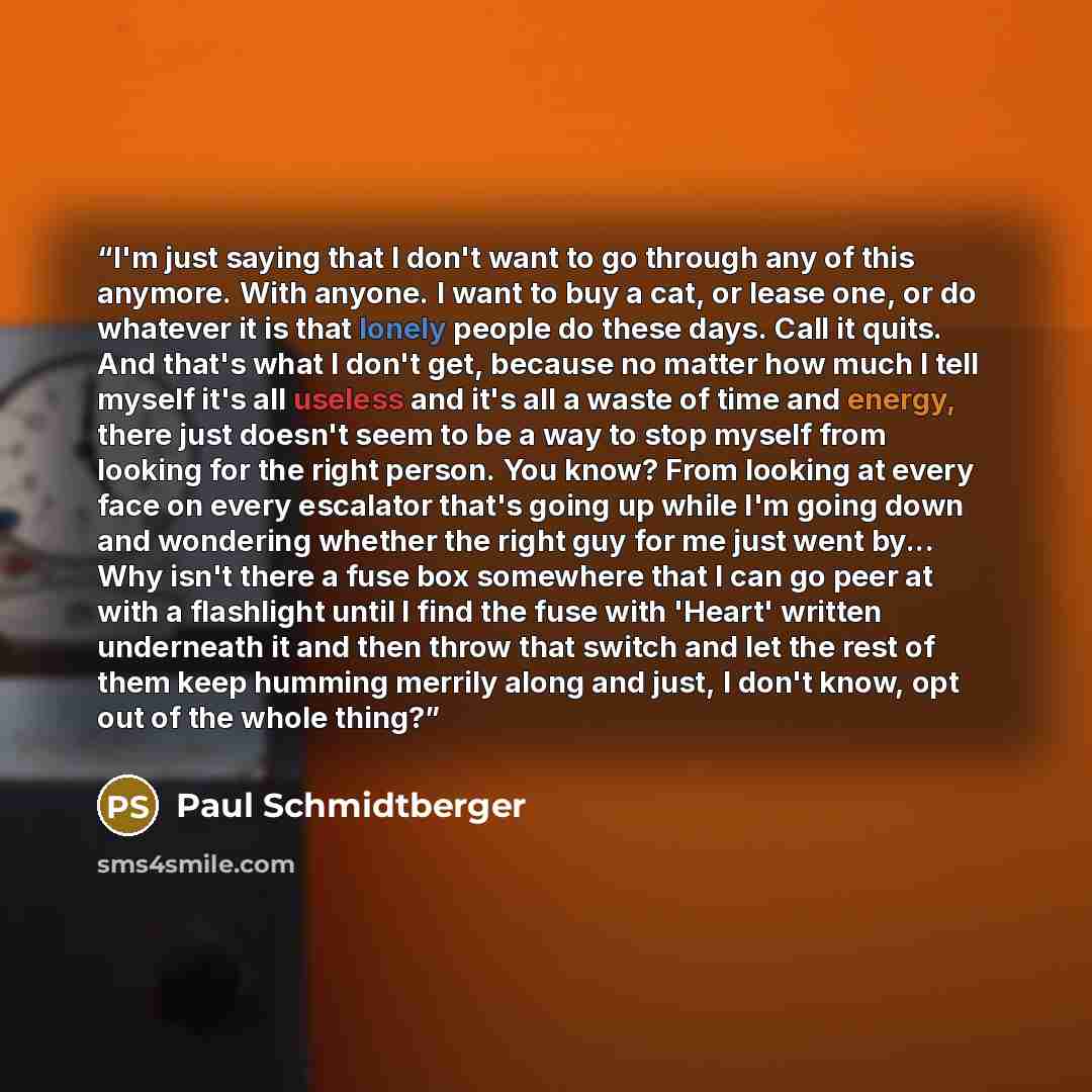 “I'm just saying that I don't want to go through any of this anymore. With anyone. I want to buy a cat, or lease one, or do whatever it is that lonely people do these days. Call it quits. And that's what I don't get, because no matter how much I tell myself it's all useless and it's all a waste of…” quote by Paul Schmidtberger
