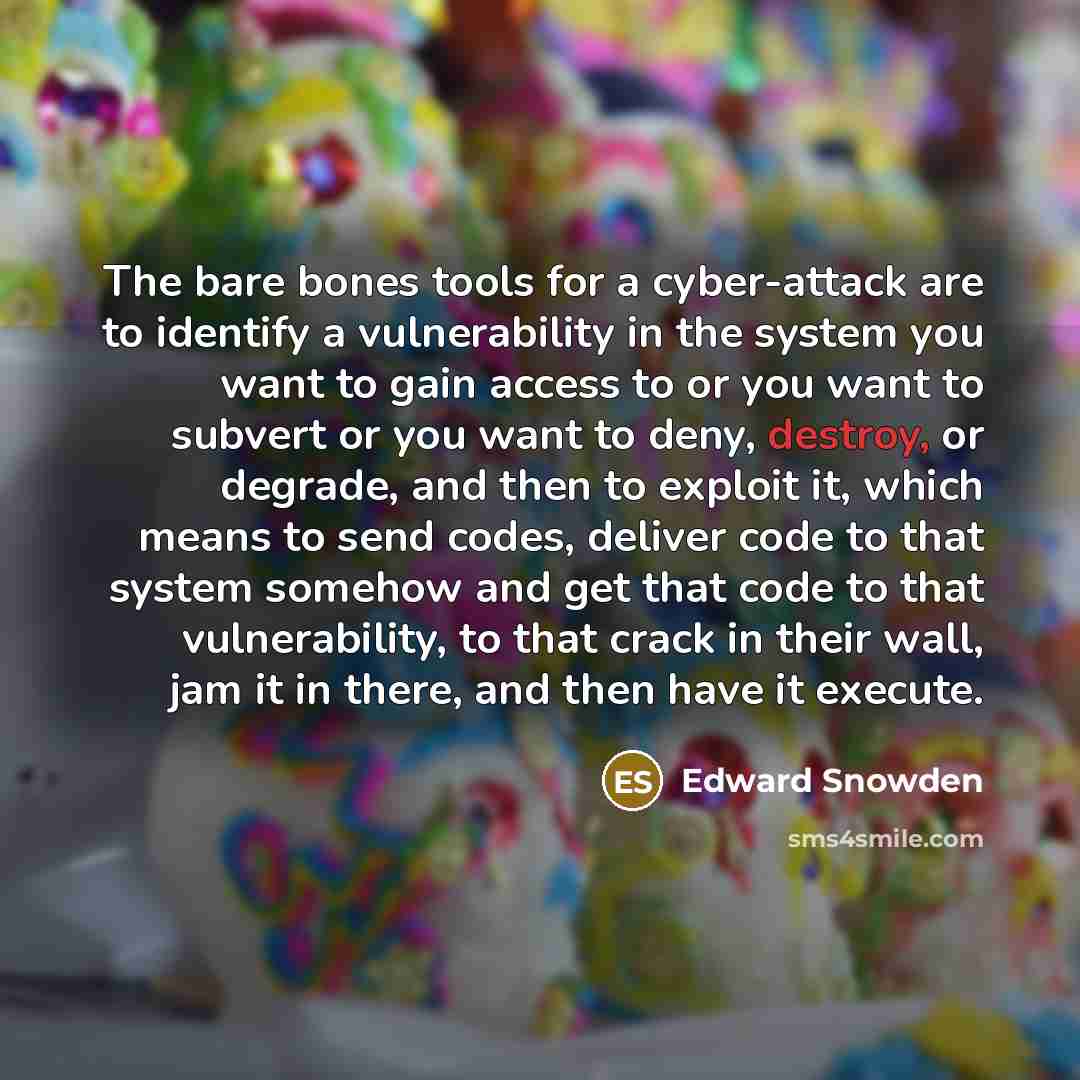 “The bare bones tools for a cyber-attack are to identify a vulnerability in the system you want to gain access to or you want to subvert or you want to deny, destroy, or degrade, and then to exploit it, which means to send codes, deliver code to that system somehow and get that code to that…” quote by Edward Snowden