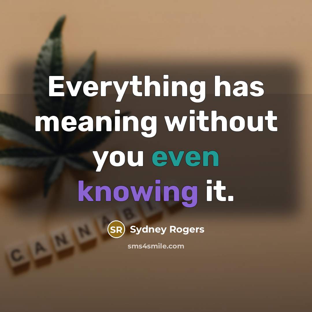 “Everything has meaning without you even knowing it.” quote by Sydney Rogers