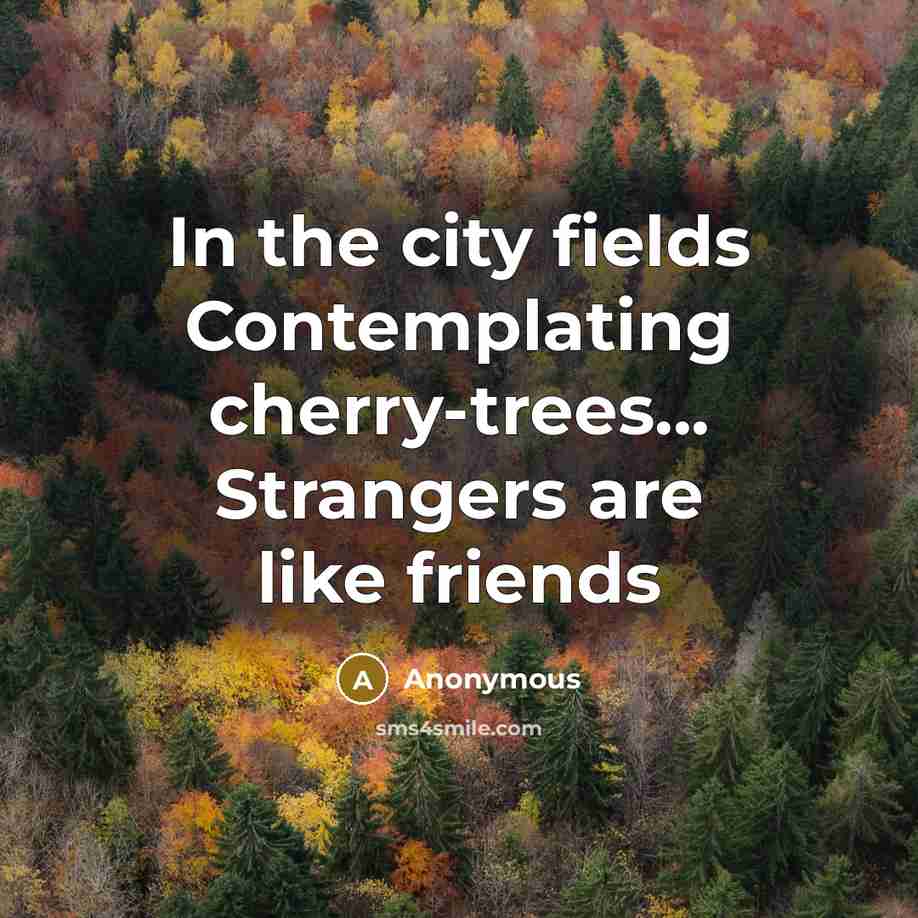 “In the city fields Contemplating cherry-trees... Strangers are like friends” quote by Anonymous
