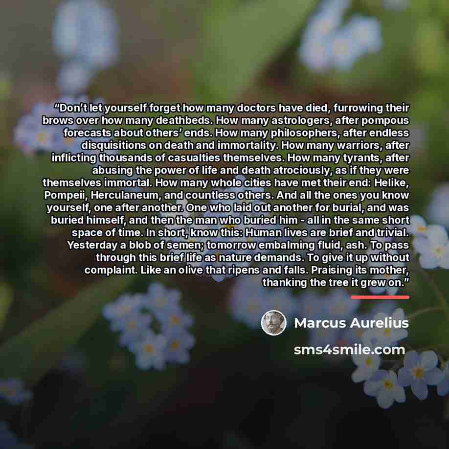 “Don’t let yourself forget how many doctors have died, furrowing their brows over how many deathbeds. How many astrologers, after pompous forecasts about others’ ends. How many philosophers, after endless disquisitions on death and immortality. How many warriors, after inflicting thousands of…” quote by Marcus Aurelius