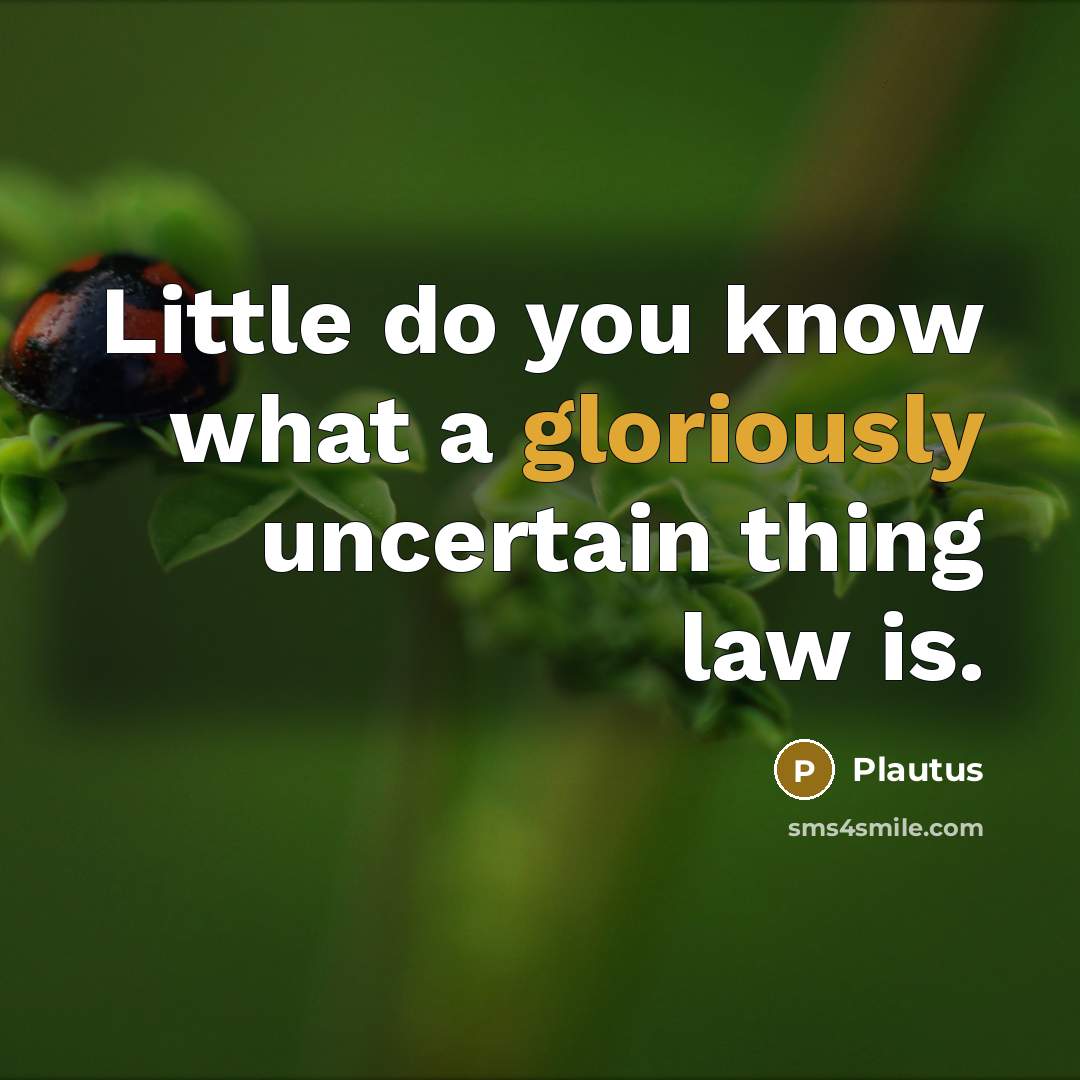 “Little do you know what a gloriously uncertain thing law is.” quote by Plautus