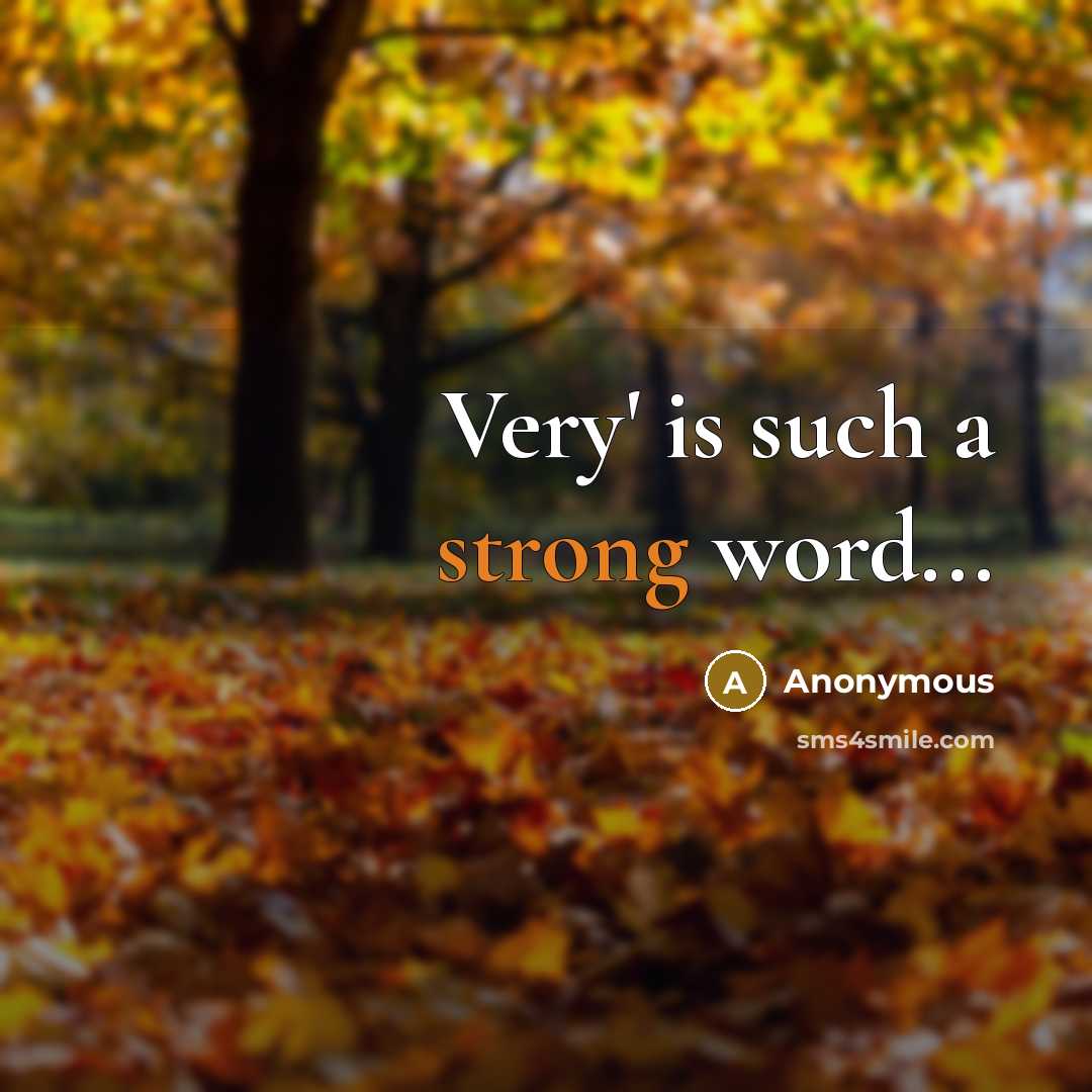 “Very' is such a strong word...” quote by Anonymous
