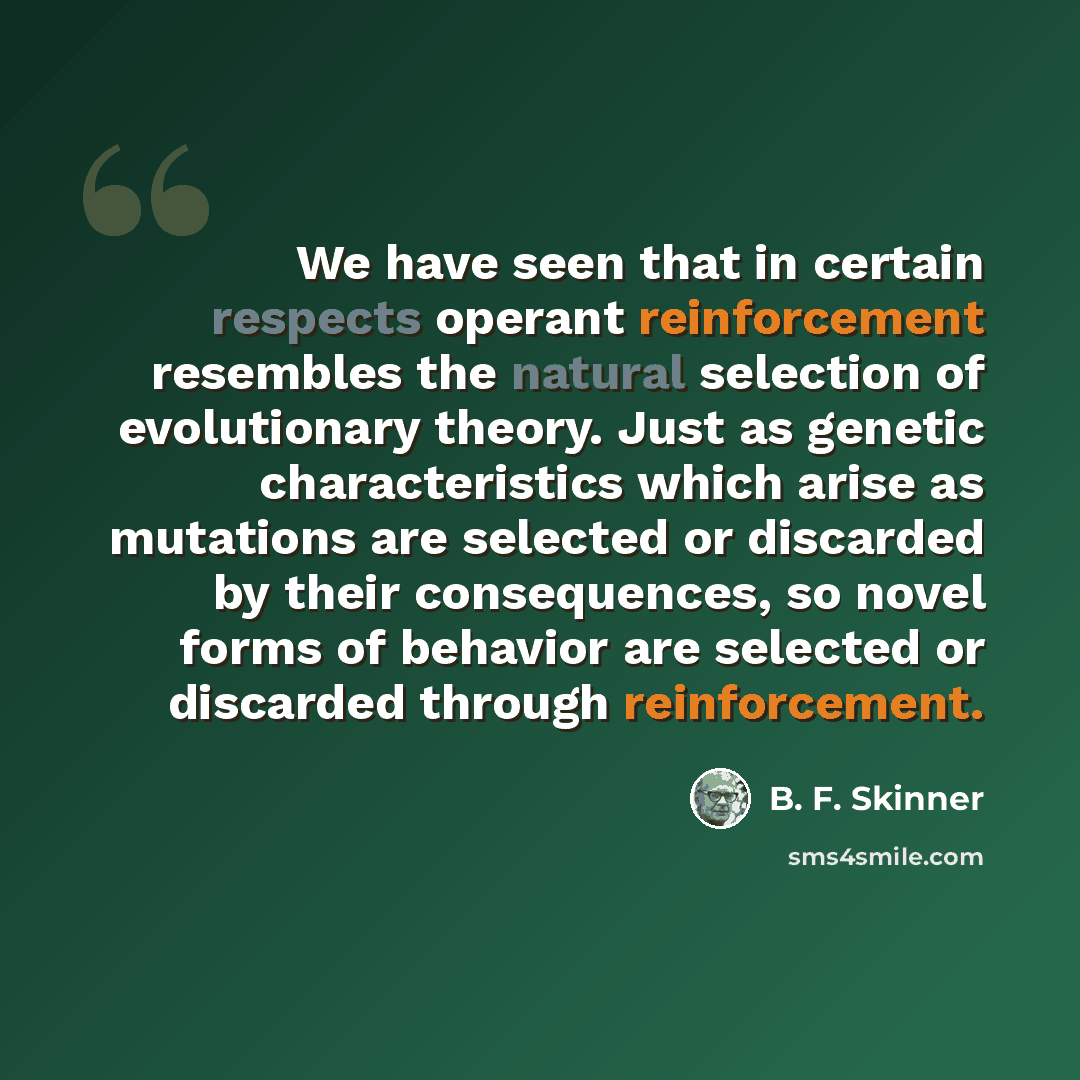“We have seen that in certain respects operant reinforcement resembles the natural selection of evolutionary theory. Just as genetic characteristics which arise as mutations are selected or discarded by their consequences, so novel forms of behavior are selected or discarded through reinforcement.” quote by B. F. Skinner