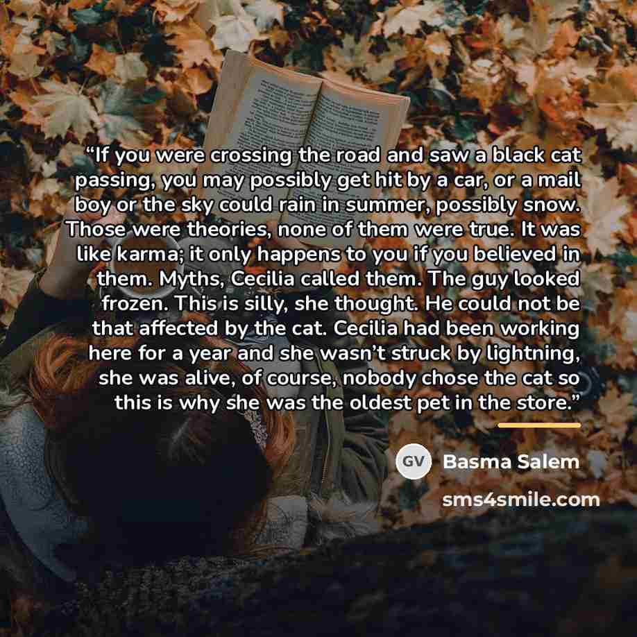 “If you were crossing the road and saw a black cat passing, you may possibly get hit by a car, or a mail boy or the sky could rain in summer, possibly snow. Those were theories, none of them were true. It was like karma; it only happens to you if you believed in them. Myths, Cecilia called them…” quote by Basma Salem