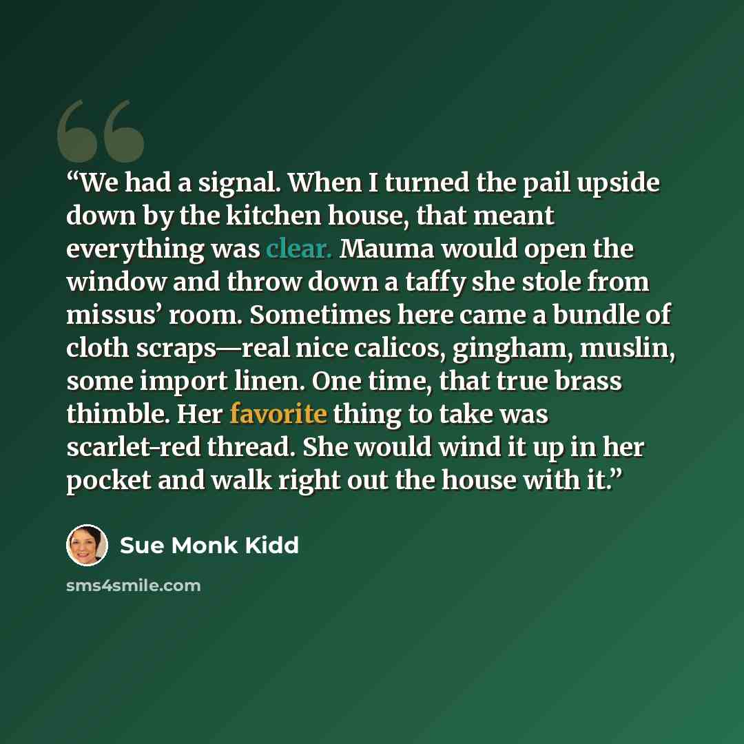 “We had a signal. When I turned the pail upside down by the kitchen house, that meant everything was clear. Mauma would open the window and throw down a taffy she stole from missus’ room. Sometimes here came a bundle of cloth scraps—real nice calicos, gingham, muslin, some import linen. One time…” quote by Sue Monk Kidd