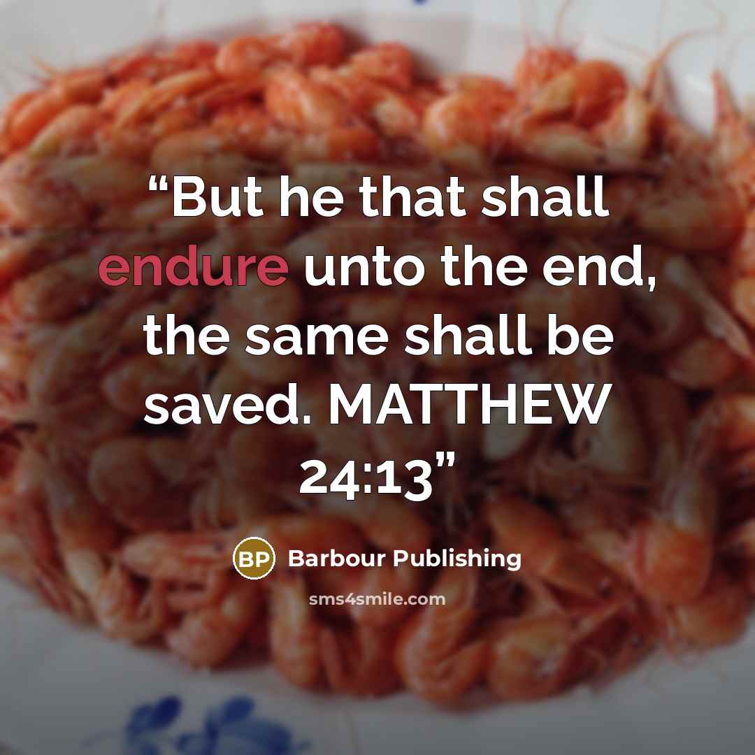 “But he that shall endure unto the end, the same shall be saved. MATTHEW 24:13” quote by Barbour Publishing