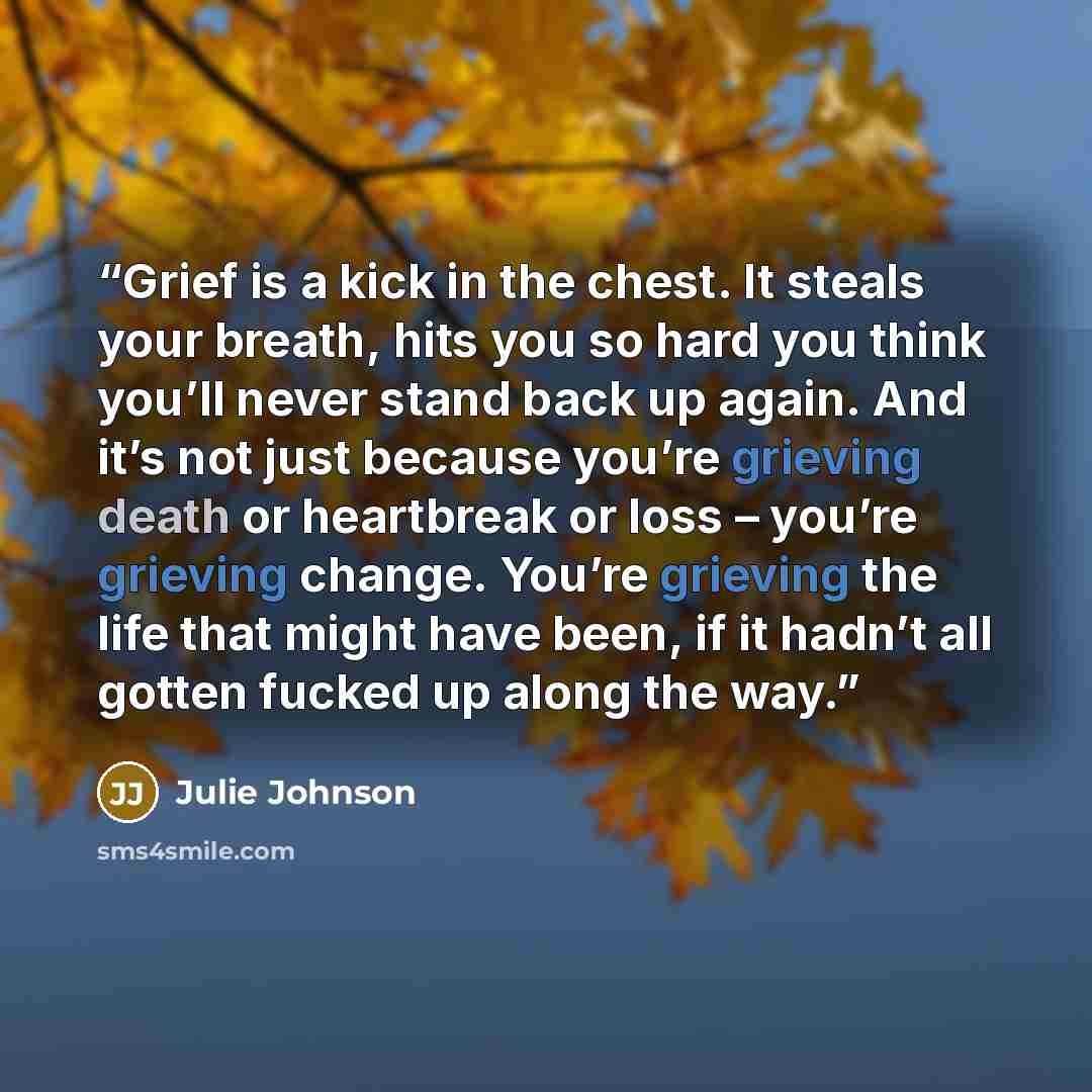 “Grief is a kick in the chest. It steals your breath, hits you so hard you think you’ll never stand back up again. And it’s not just because you’re grieving death or heartbreak or loss – you’re grieving change. You’re grieving the life that might have been, if it hadn’t all gotten fucked up along…” quote by Julie Johnson