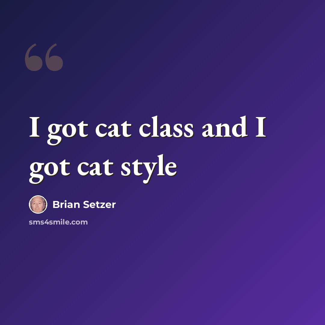 “I got cat class and I got cat style” quote by Brian Setzer