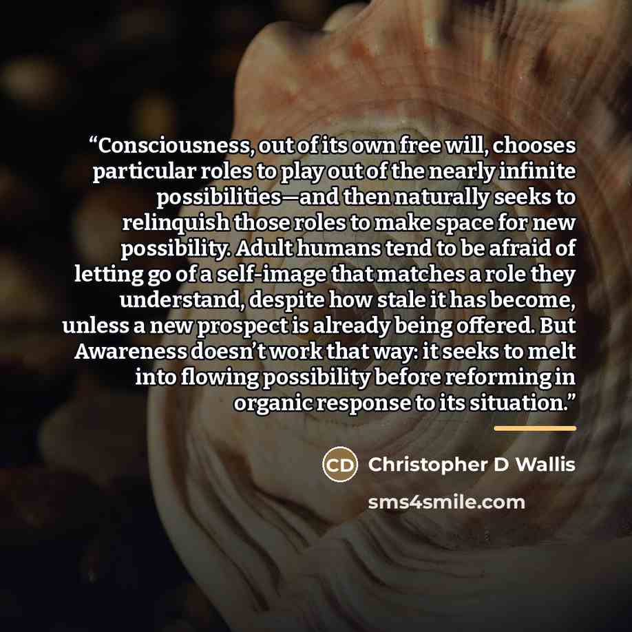 “Consciousness, out of its own free will, chooses particular roles to play out of the nearly infinite possibilities—and then naturally seeks to relinquish those roles to make space for new possibility. Adult humans tend to be afraid of letting go of a self-image that matches a role they understand…” quote by Christopher D Wallis