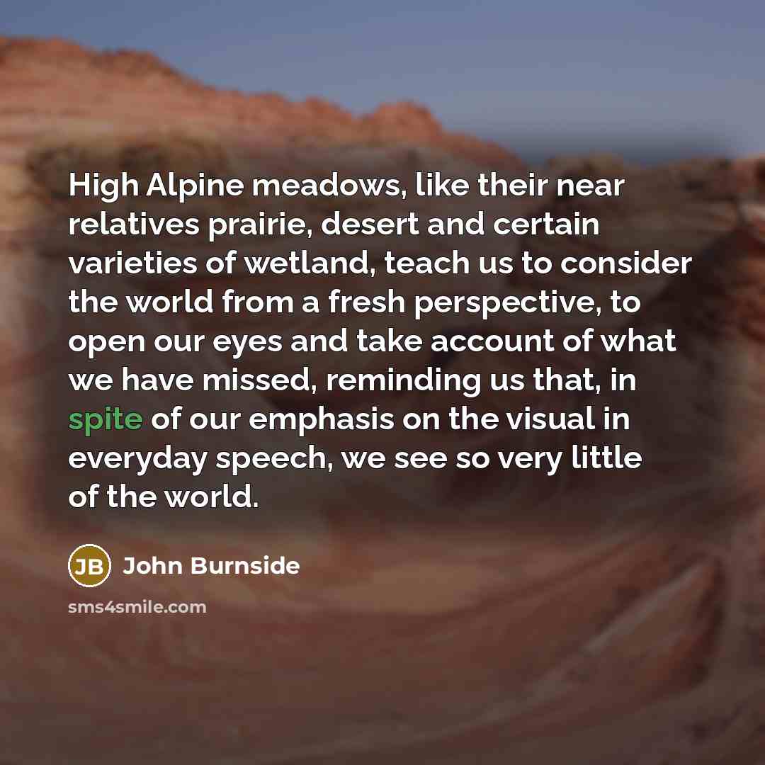 “High Alpine meadows, like their near relatives prairie, desert and certain varieties of wetland, teach us to consider the world from a fresh perspective, to open our eyes and take account of what we have missed, reminding us that, in spite of our emphasis on the visual in everyday speech, we see…” quote by John Burnside
