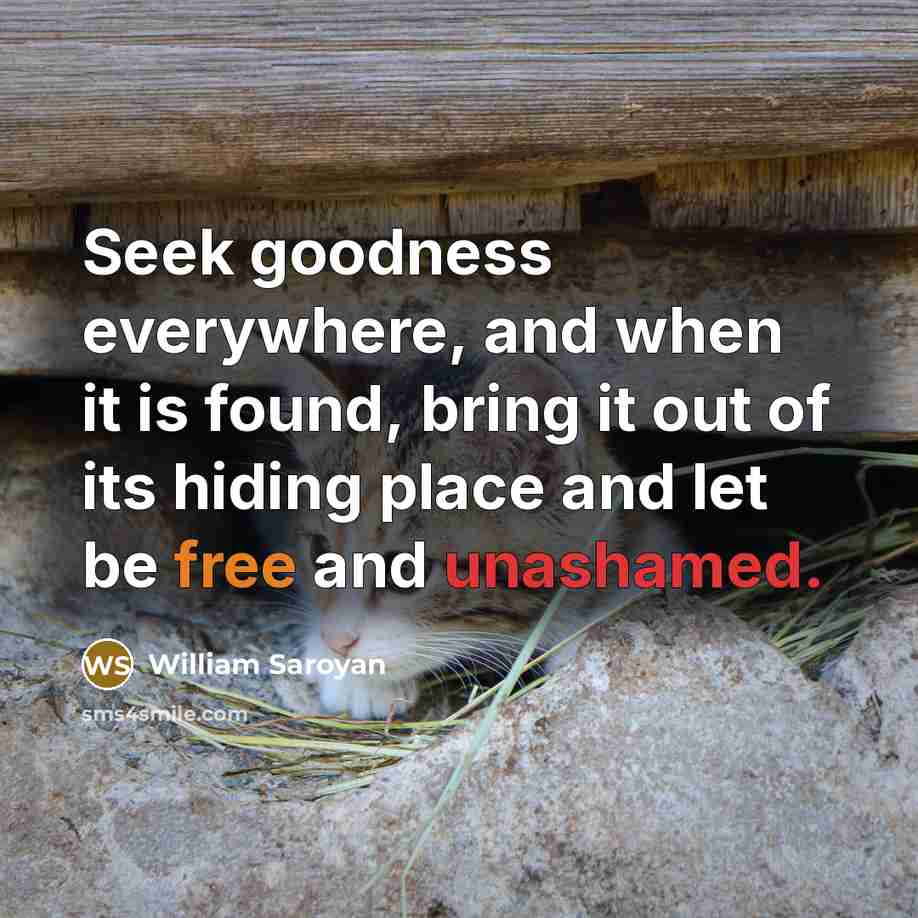 “Seek goodness everywhere, and when it is found, bring it out of its hiding place and let be free and unashamed.” quote by William Saroyan