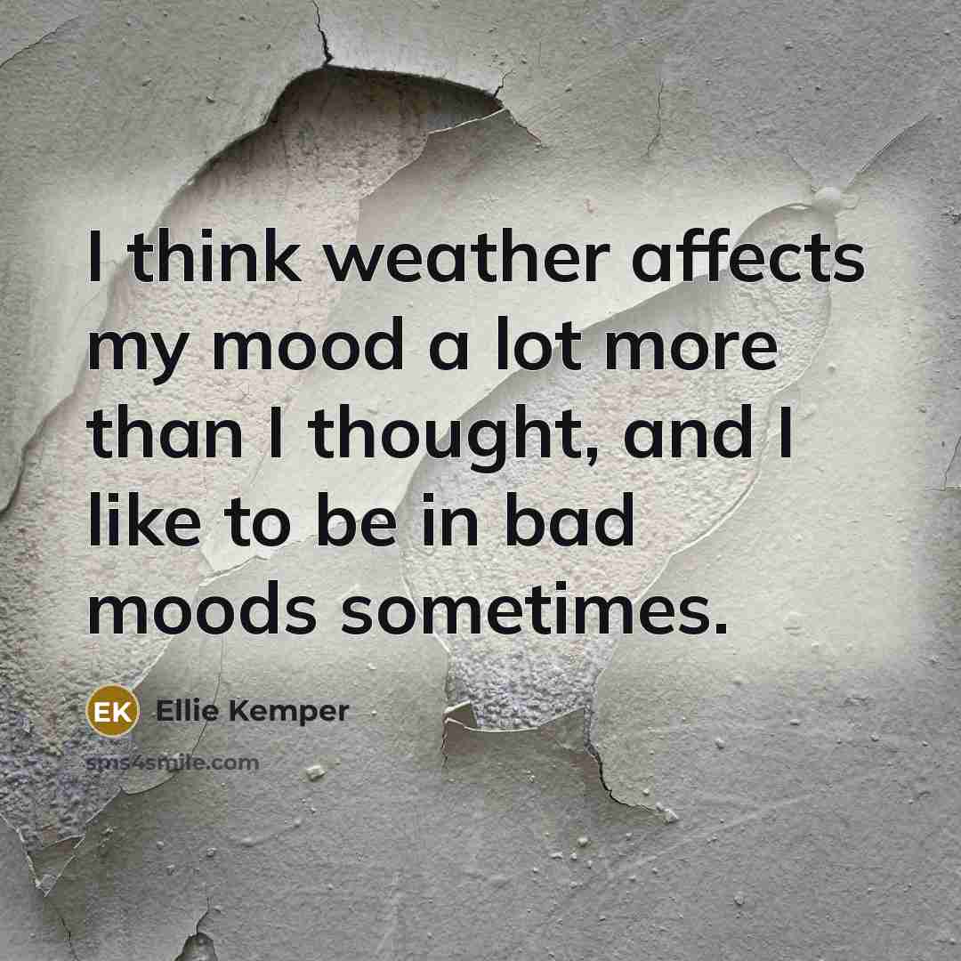 “I think weather affects my mood a lot more than I thought, and I like to be in bad moods sometimes.” quote by Ellie Kemper