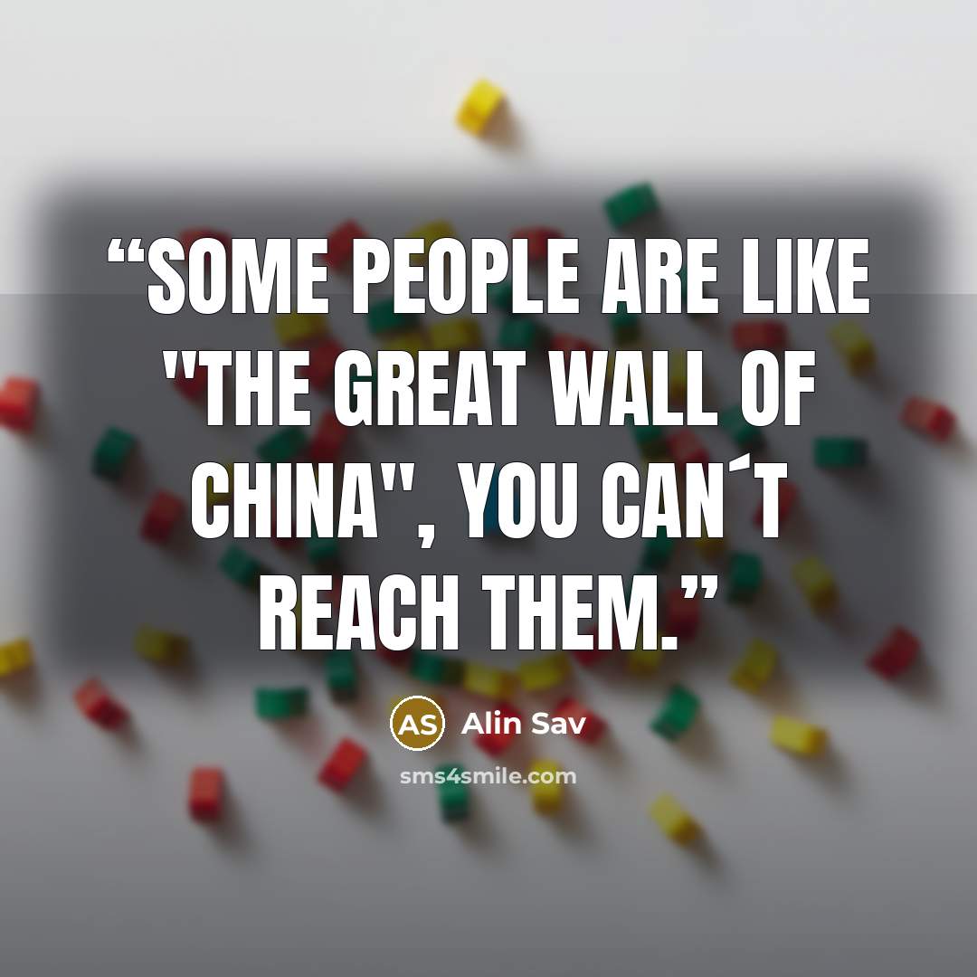 “Some people are like "the great wall of china", you can´t reach them.” quote by Alin Sav