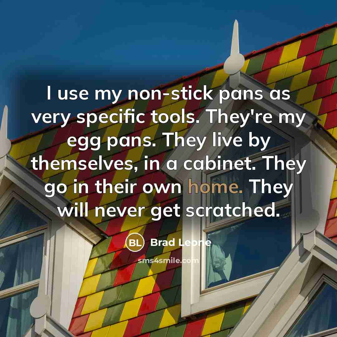“I use my non-stick pans as very specific tools. They're my egg pans. They live by themselves, in a cabinet. They go in their own home. They will never get scratched.” quote by Brad Leone