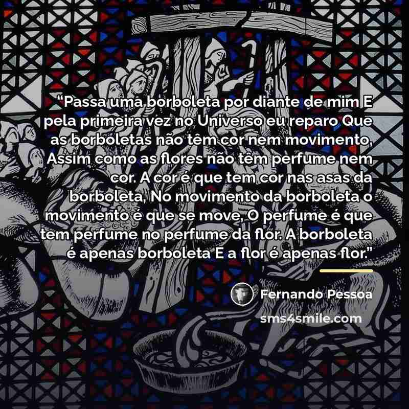 “Passa uma borboleta por diante de mim E pela primeira vez no Universo eu reparo Que as borboletas não têm cor nem movimento, Assim como as flores não têm perfume nem cor. A cor é que tem cor nas asas da borboleta, No movimento da borboleta o movimento é que se move, O perfume é que tem perfume no…” quote by Fernando Pessoa