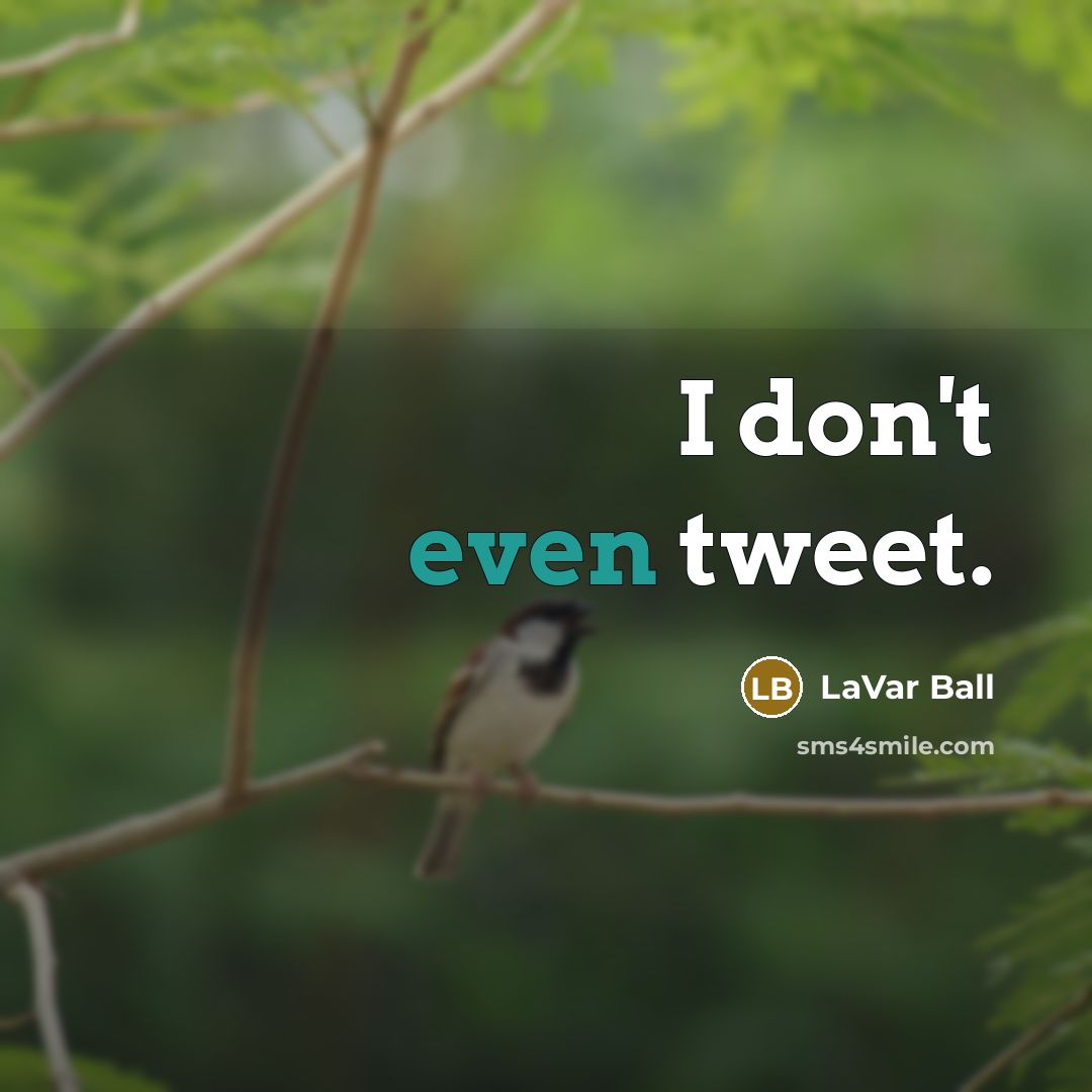 “I don't even tweet.” quote by LaVar Ball