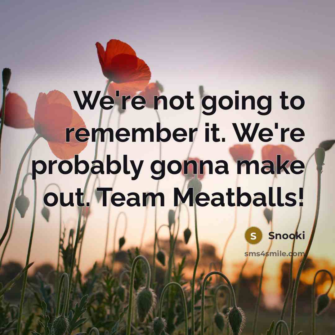 “We're not going to remember it. We're probably gonna make out. Team Meatballs!” quote by Snooki