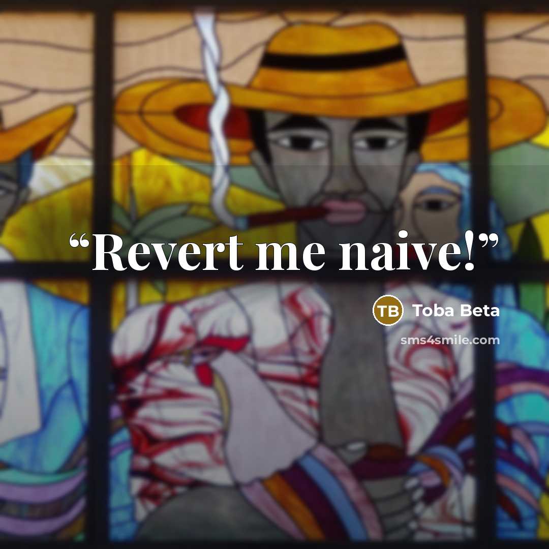 “Revert me naive!” quote by Toba Beta