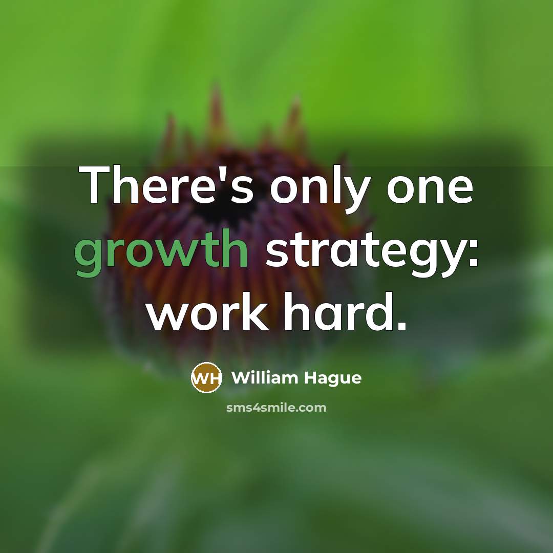 “There's only one growth strategy: work hard.” quote by William Hague