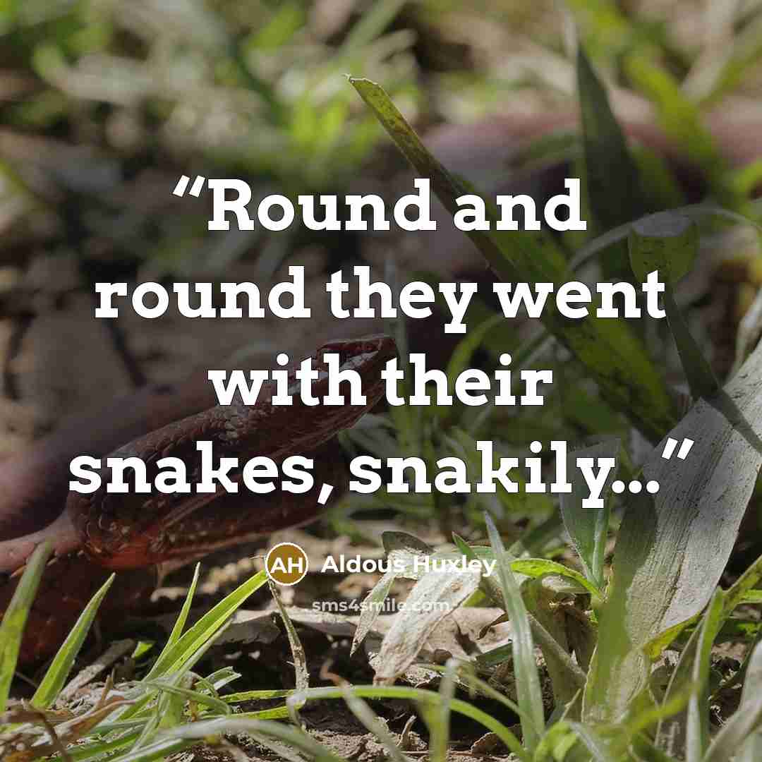 “Round and round they went with their snakes, snakily...” quote by Aldous Huxley