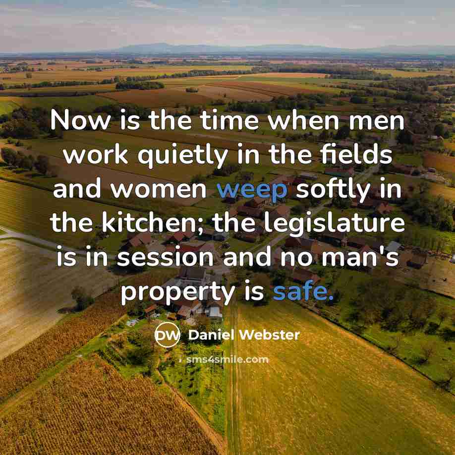 “Now is the time when men work quietly in the fields and women weep softly in the kitchen; the legislature is in session and no man's property is safe.” quote by Daniel Webster