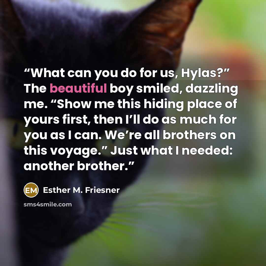 “What can you do for us, Hylas?” The beautiful boy smiled, dazzling me. “Show me this hiding place of yours first, then I’ll do as much for you as I can. We’re all brothers on this voyage.” Just what I needed: another brother.” quote by Esther M. Friesner