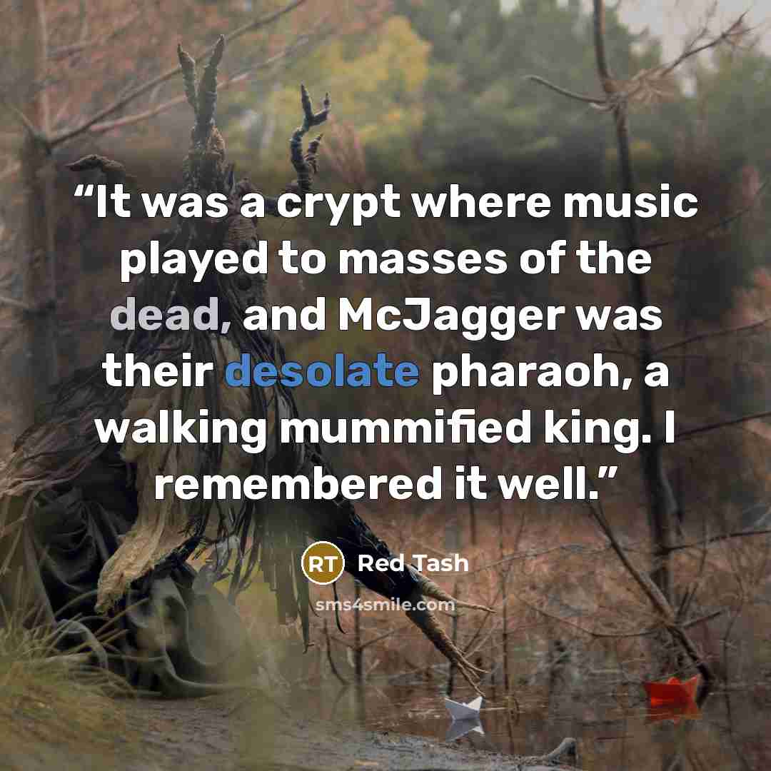 “It was a crypt where music played to masses of the dead, and McJagger was their desolate pharaoh, a walking mummified king. I remembered it well.” quote by Red Tash