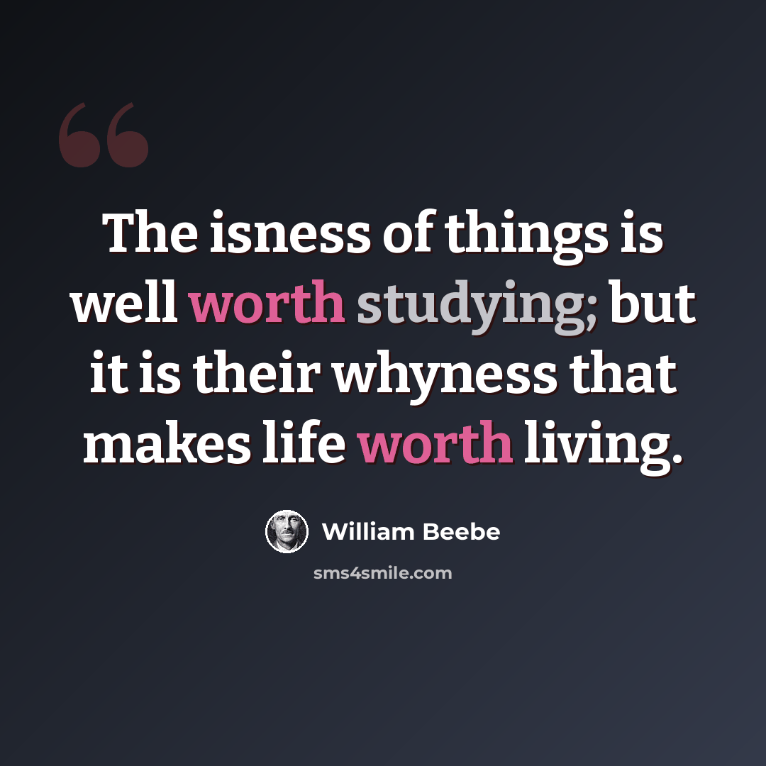 “The isness of things is well worth studying; but it is their whyness that makes life worth living.” quote by William Beebe