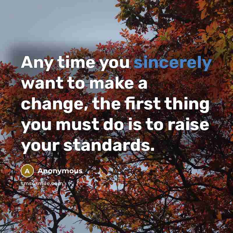“Any time you sincerely want to make a change, the first thing you must do is to raise your standards.” quote by Anonymous