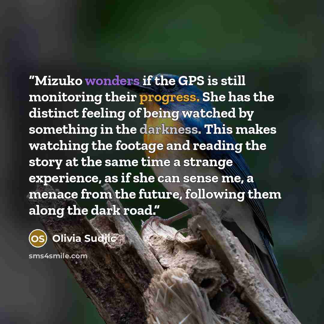 “Mizuko wonders if the GPS is still monitoring their progress. She has the distinct feeling of being watched by something in the darkness. This makes watching the footage and reading the story at the same time a strange experience, as if she can sense me, a menace from the future, following them…” quote by Olivia Sudjic