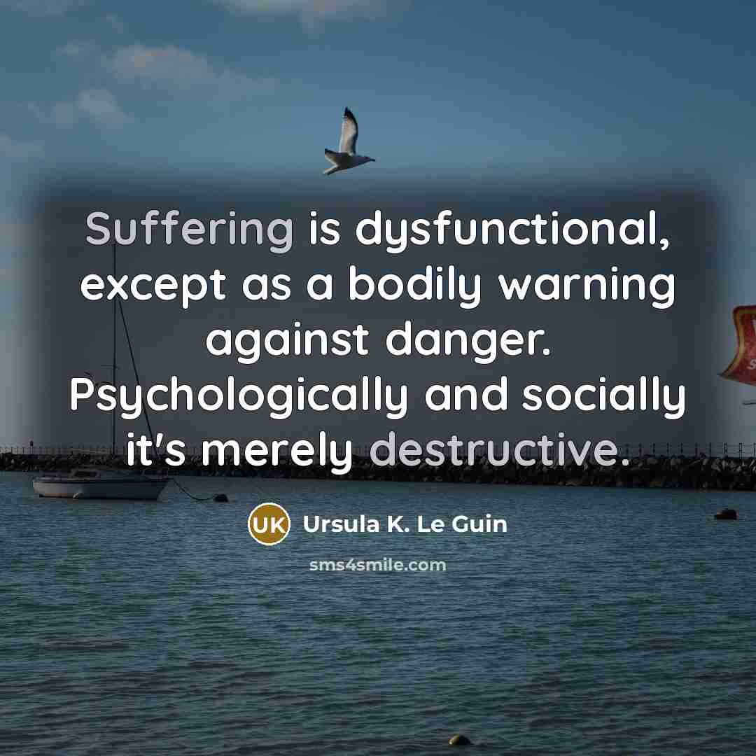 “Suffering is dysfunctional, except as a bodily warning against danger. Psychologically and socially it's merely destructive.” quote by Ursula K. Le Guin