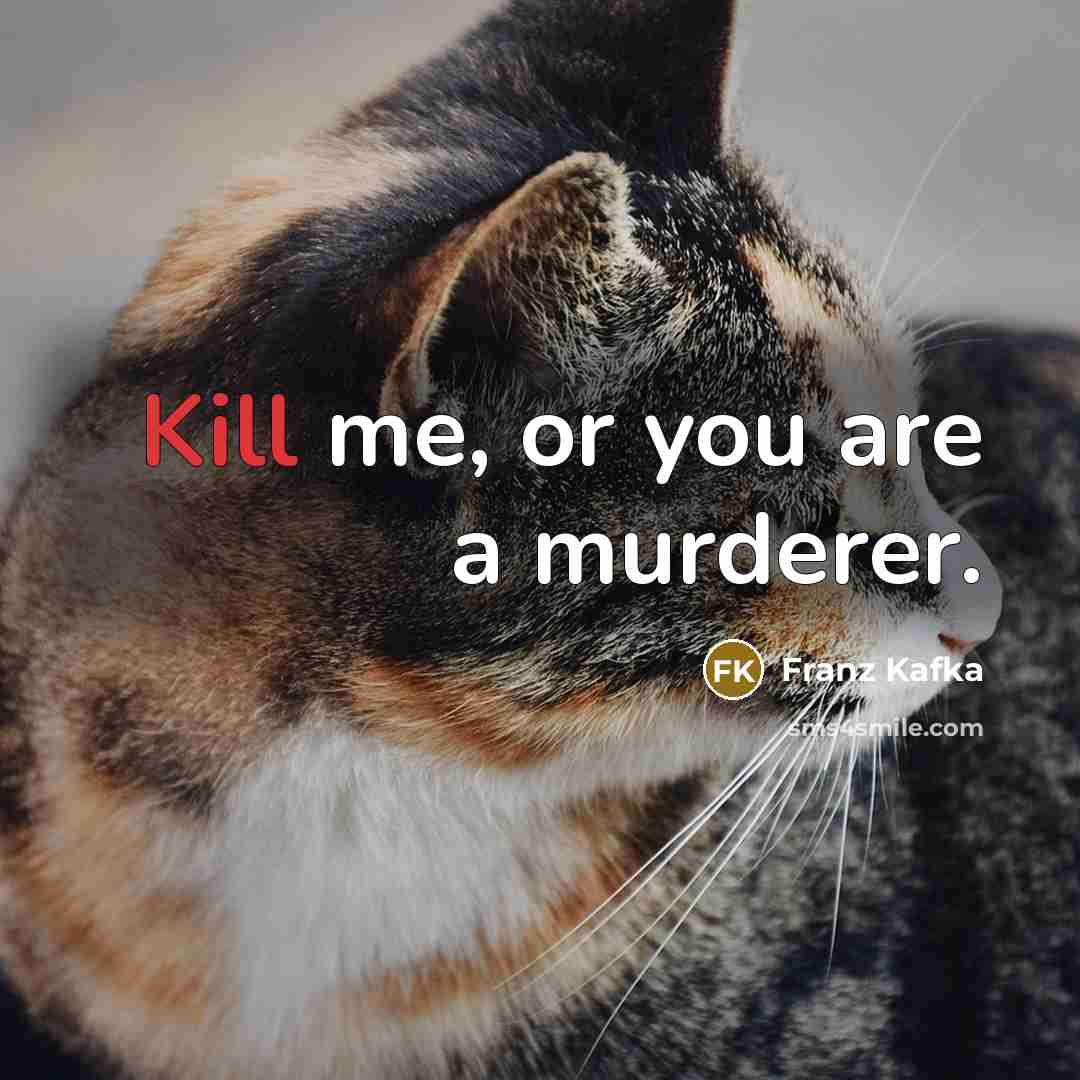 “Kill me, or you are a murderer.” quote by Franz Kafka