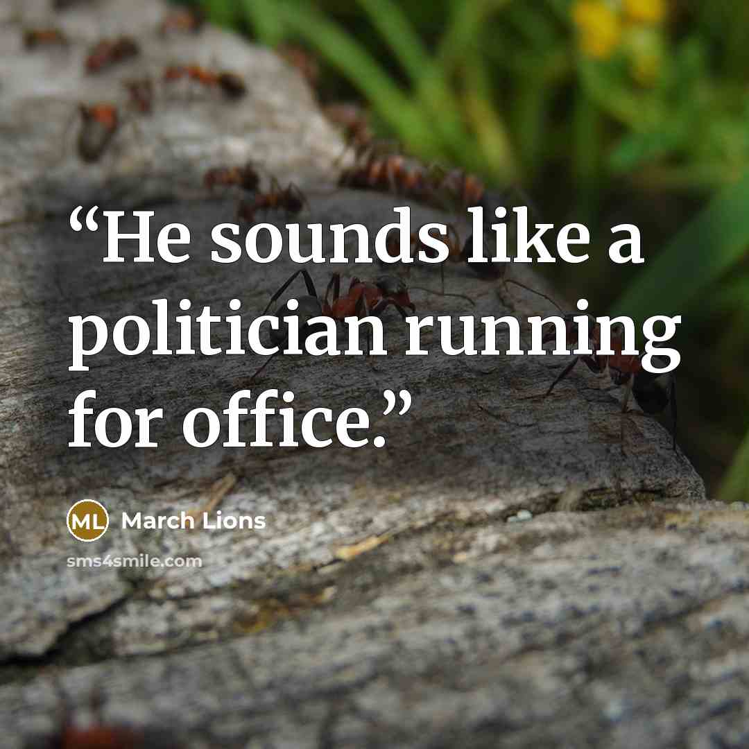 “He sounds like a politician running for office.” quote by March Lions