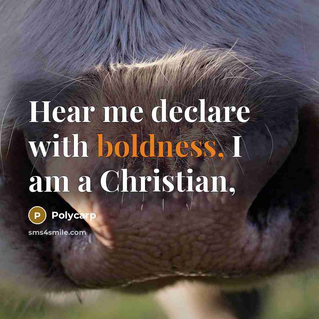 “Hear me declare with boldness, I am a Christian,” quote by Polycarp