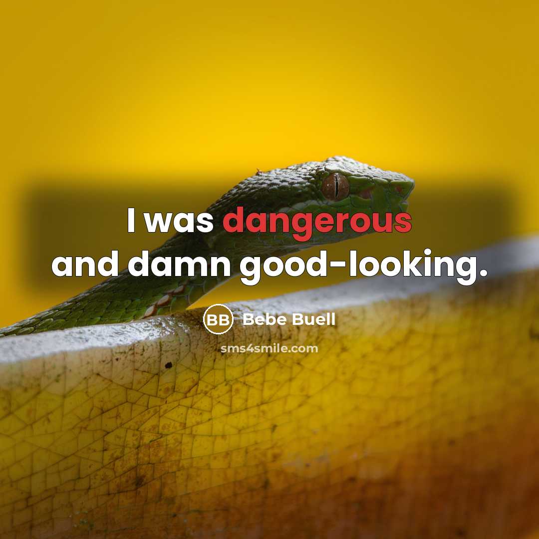“I was dangerous and damn good-looking.” quote by Bebe Buell