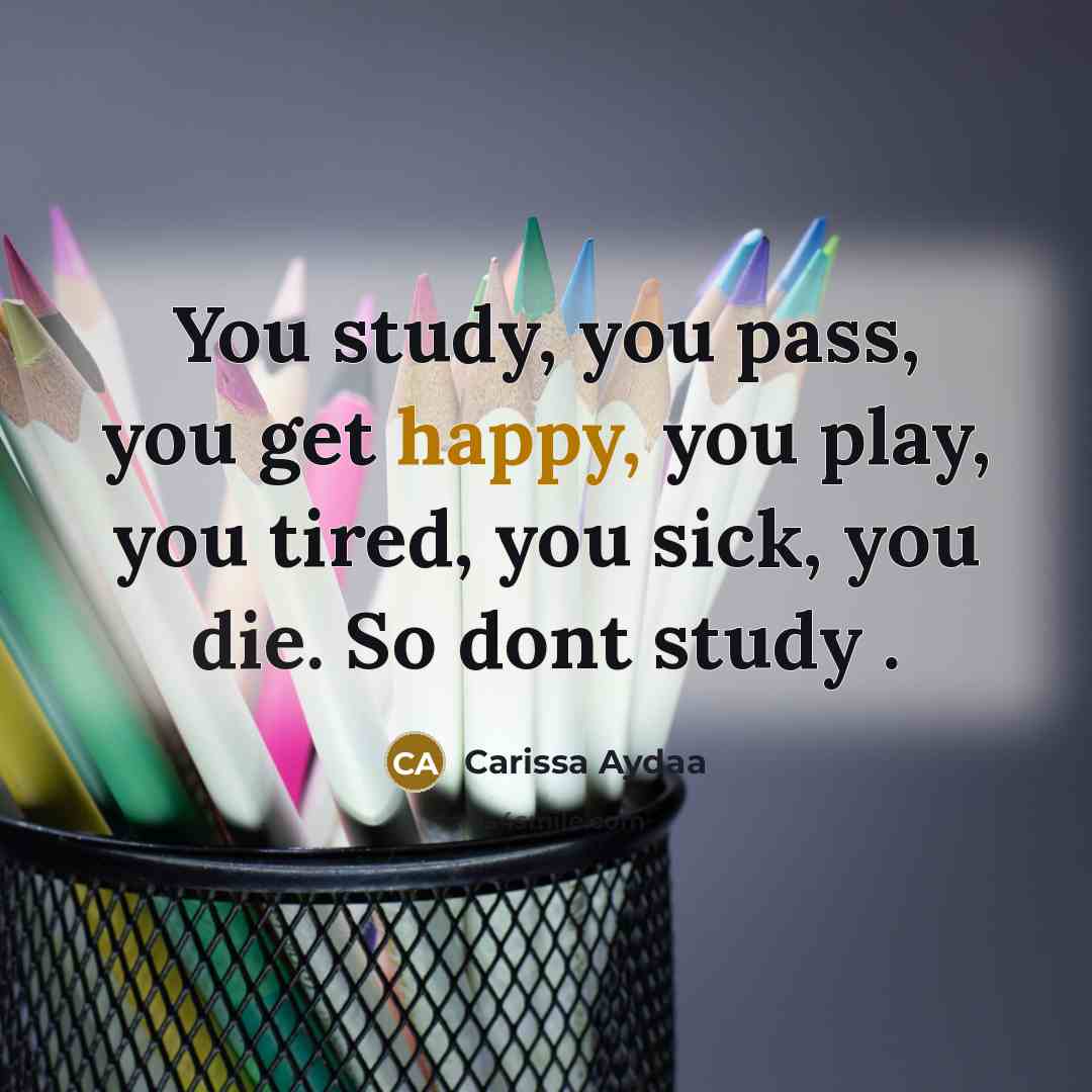 “You study, you pass, you get happy, you play, you tired, you sick, you die. So dont study .” quote by Carissa Aydaa