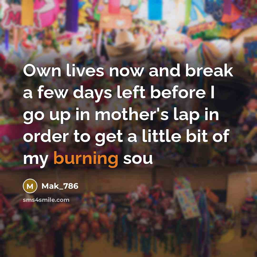“Own lives now and break a few days left before I go up in mother's lap in order to get a little bit of my burning sou” quote by Mak_786