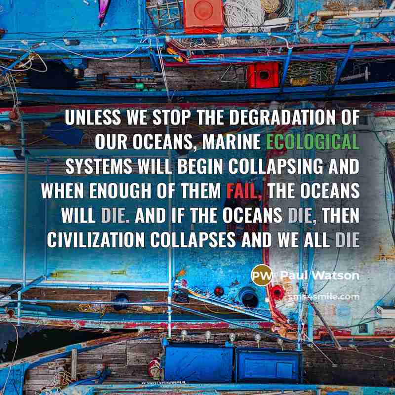 “Unless we stop the degradation of our oceans, marine ecological systems will begin collapsing and when enough of them fail, the oceans will die. And if the oceans die, then civilization collapses and we all die” quote by Paul Watson