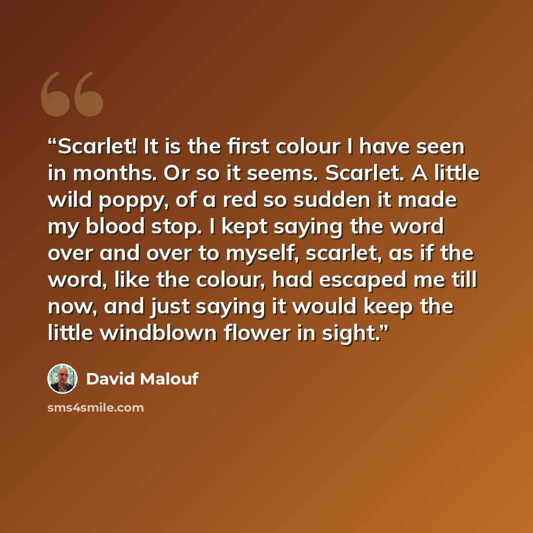 “Scarlet! It is the first colour I have seen in months. Or so it seems. Scarlet. A little wild poppy, of a red so sudden it made my blood stop. I kept saying the word over and over to myself, scarlet, as if the word, like the colour, had escaped me till now, and just saying it would keep the little…” quote by David Malouf
