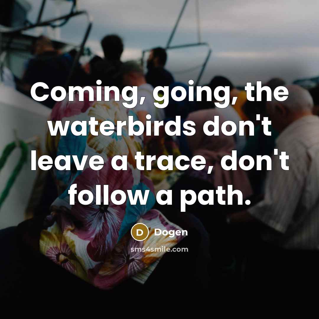 “Coming, going, the waterbirds don't leave a trace, don't follow a path.” quote by Dogen
