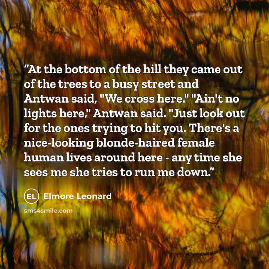 “At the bottom of the hill they came out of the trees to a busy street and Antwan said, "We cross here." "Ain't no lights here," Antwan said. "Just look out for the ones trying to hit you. There's a nice-looking blonde-haired female human lives around here - any time she sees me she tries to run me…” quote by Elmore Leonard