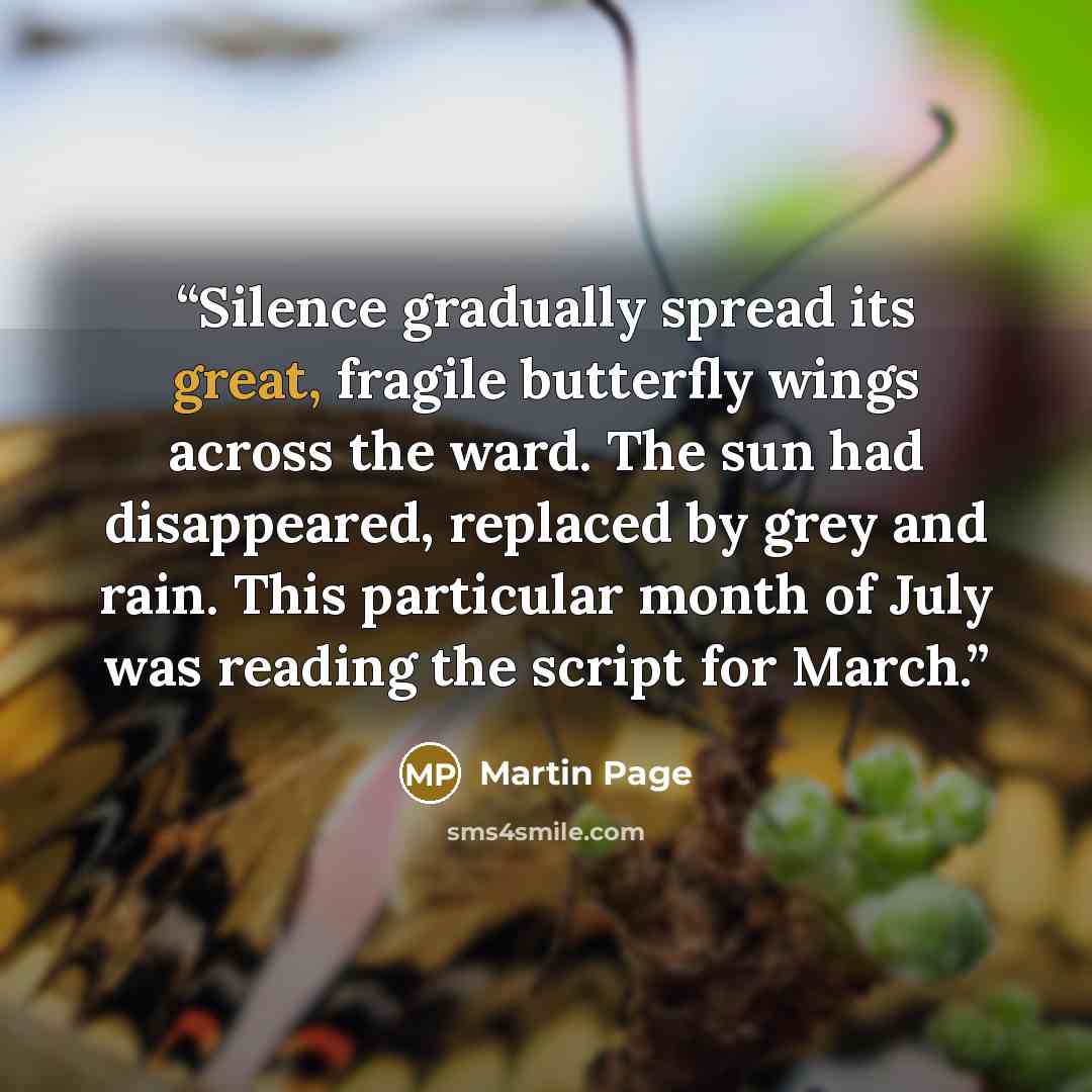 “Silence gradually spread its great, fragile butterfly wings across the ward. The sun had disappeared, replaced by grey and rain. This particular month of July was reading the script for March.” quote by Martin Page