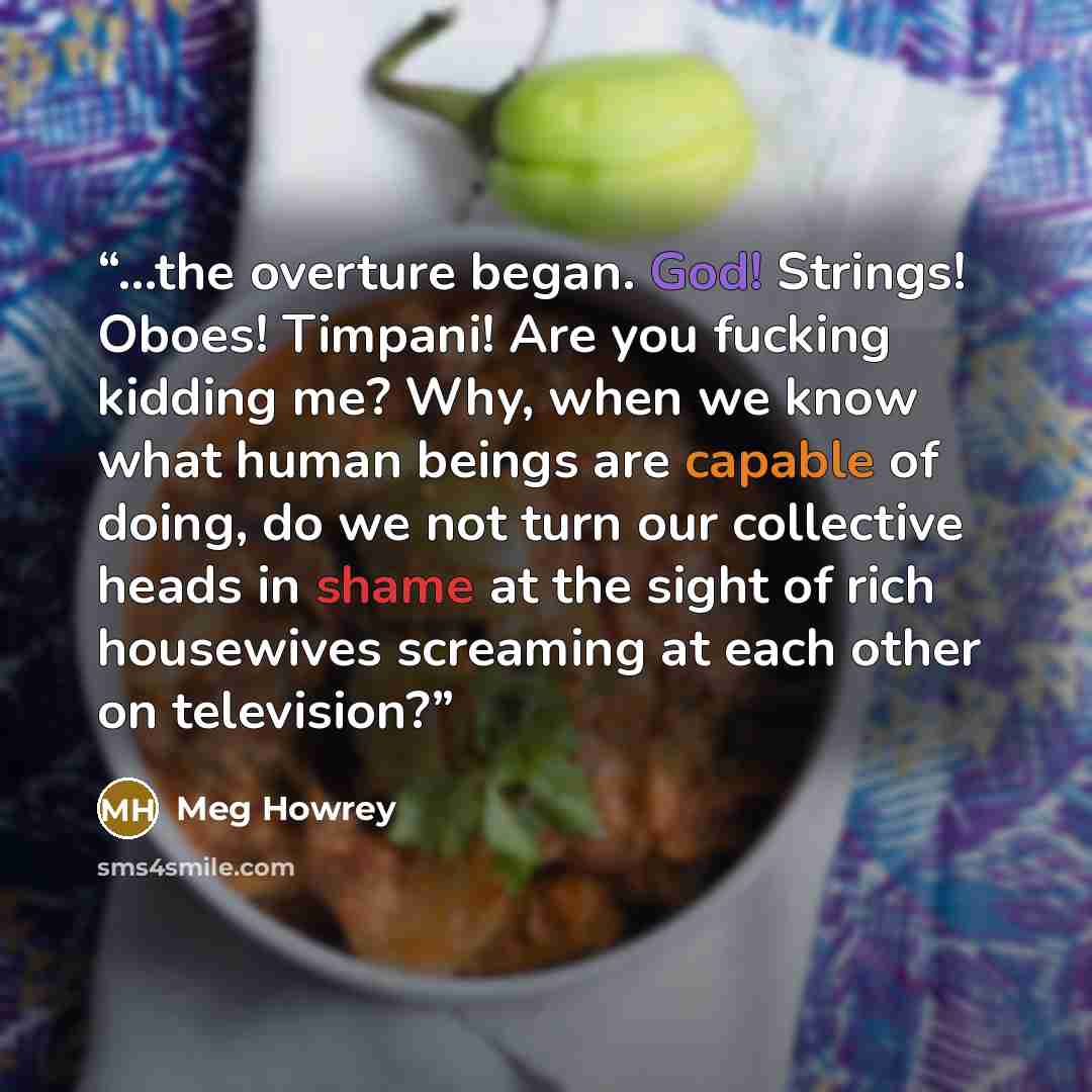 “...the overture began. God! Strings! Oboes! Timpani! Are you fucking kidding me? Why, when we know what human beings are capable of doing, do we not turn our collective heads in shame at the sight of rich housewives screaming at each other on television?” quote by Meg Howrey