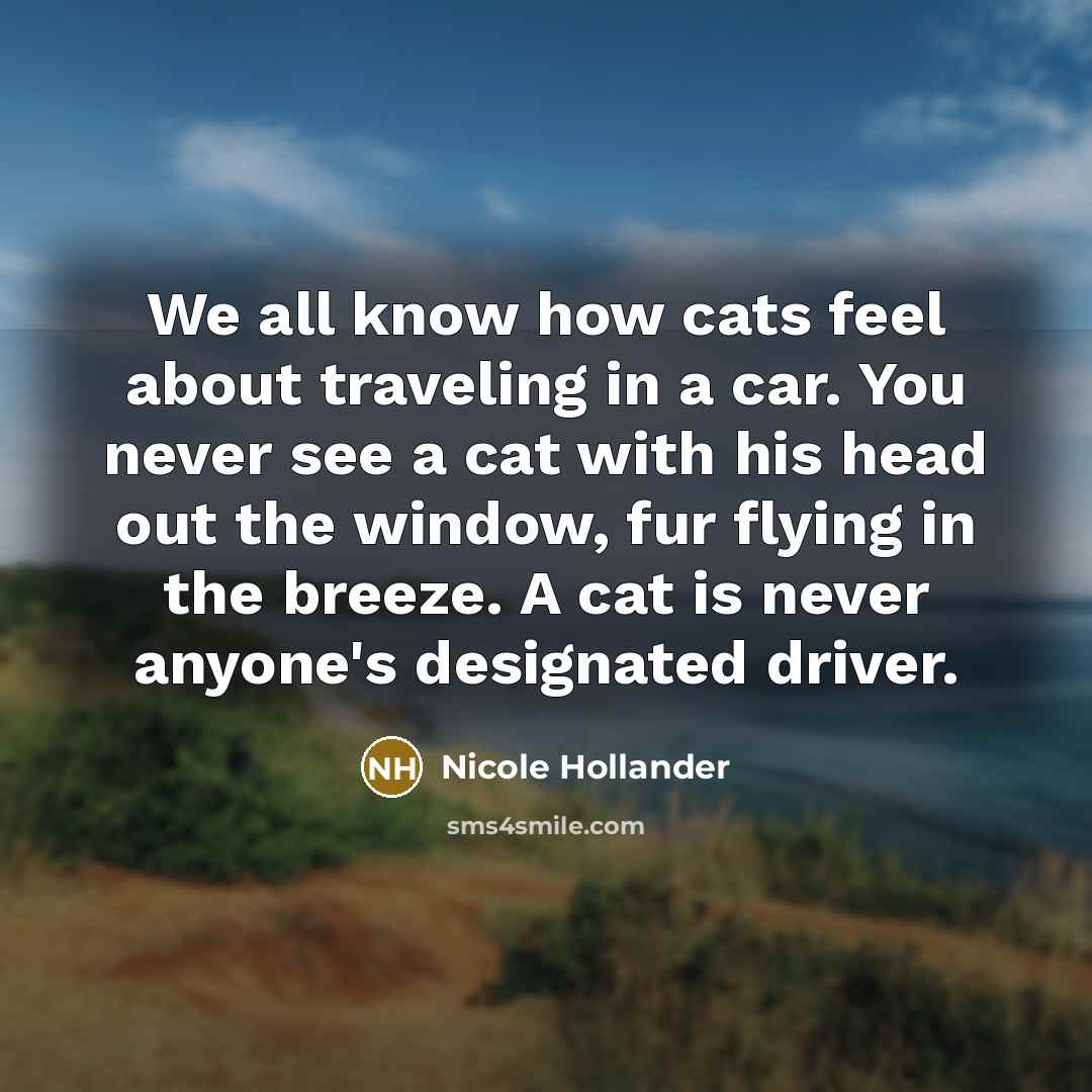 “We all know how cats feel about traveling in a car. You never see a cat with his head out the window, fur flying in the breeze. A cat is never anyone's designated driver.” quote by Nicole Hollander