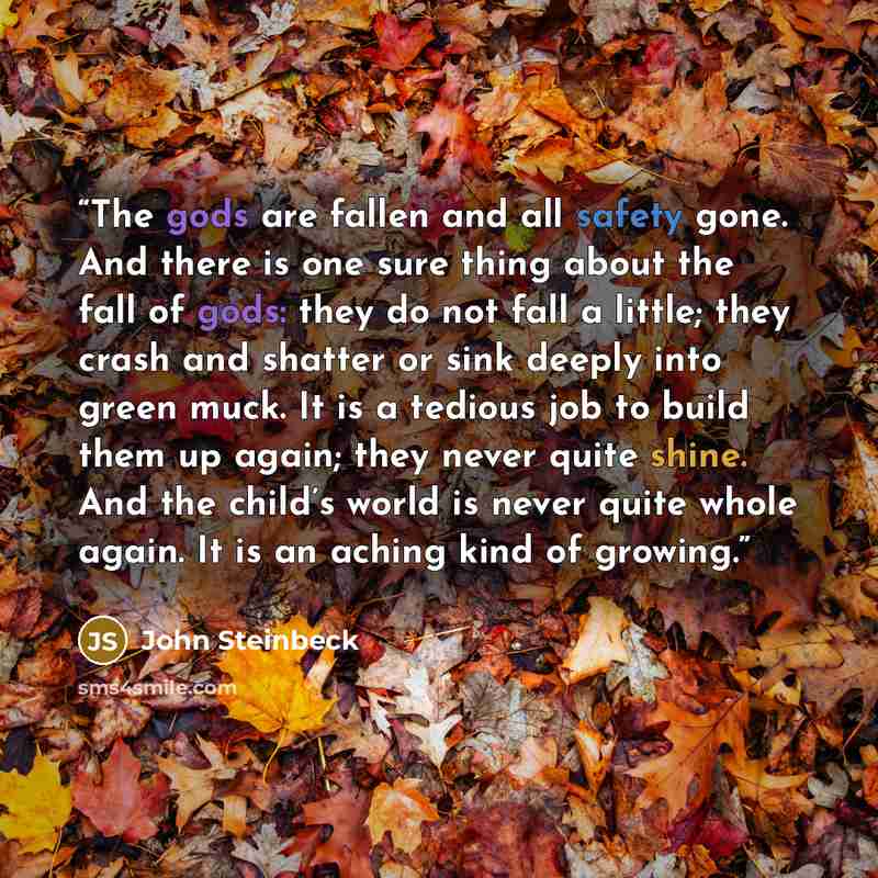 “The gods are fallen and all safety gone. And there is one sure thing about the fall of gods: they do not fall a little; they crash and shatter or sink deeply into green muck. It is a tedious job to build them up again; they never quite shine. And the child’s world is never quite whole again. It is…” quote by John Steinbeck