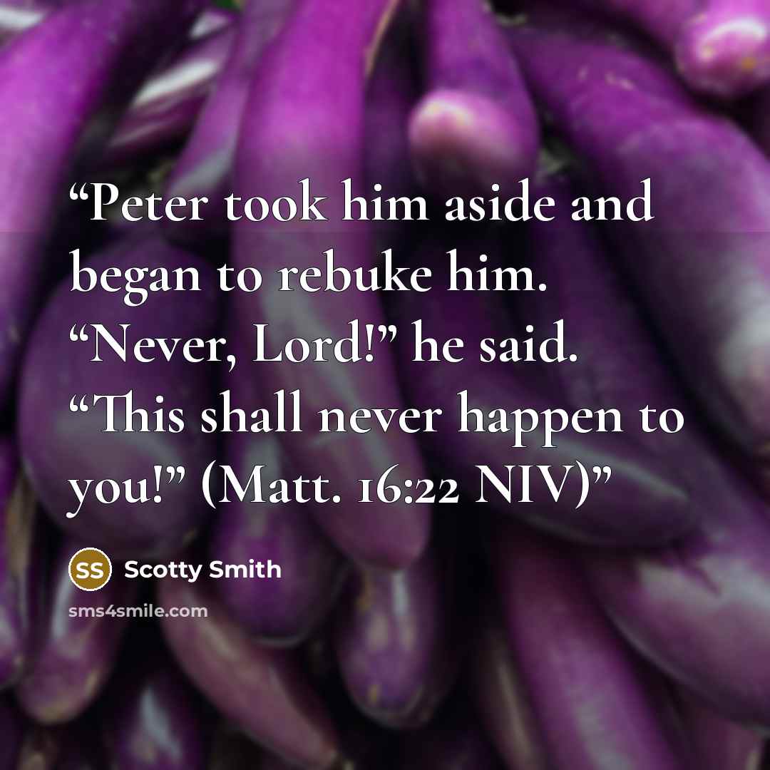 “Peter took him aside and began to rebuke him. “Never, Lord!” he said. “This shall never happen to you!” (Matt. 16:22 NIV)” quote by Scotty Smith