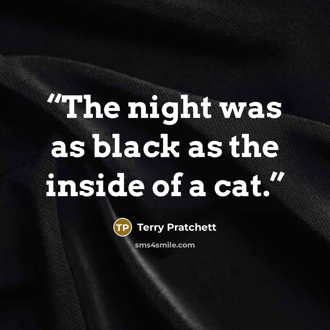 “The night was as black as the inside of a cat.” quote by Terry Pratchett
